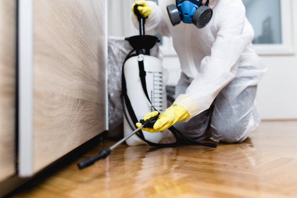Best Best Pest Control Companies  in Mattituck, NY