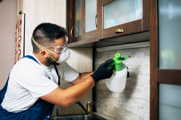 Best Flea Control Services  in Mattituck, NY