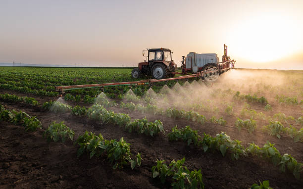 Best Pest Control for Businesses  in Mattituck, NY
