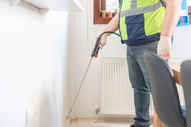 Best Termite Control Services  in Mattituck, NY