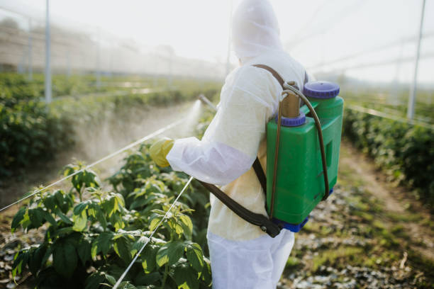 Best Termite Control Services  in Mattituck, NY